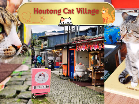 The Houtong Cat Village is an ex-coal mining park transformed into a picturesque, cat haven.