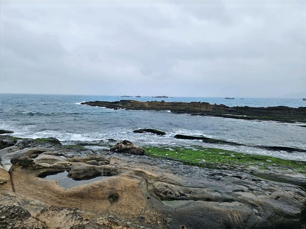 Walk along the rocky coastline that infringes Yehliu Geopark, and soak in the unforgettable sights and sounds of nature.