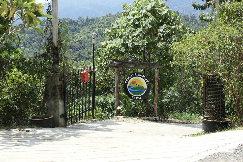 Entrance to Summer Summer Farm, Batang Kali
