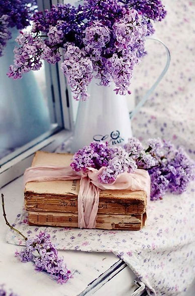 Lovely lavender.jpeg