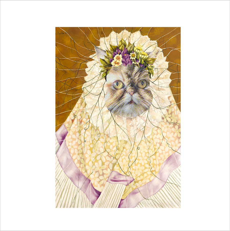 Miniatura: Pet Digital Art - Projetos Diferenciados - entre para ver modelos