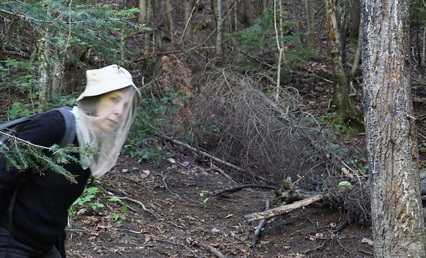MOI FORET_edited.jpg