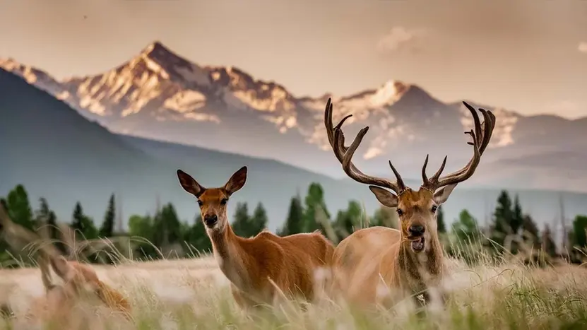 hunting trip accommodations lodging outfitter transfer transportation