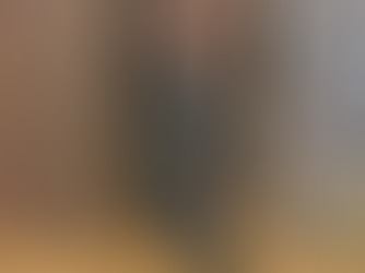 忍者を知る (車推奨コース)