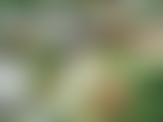 フォトスポットめぐり📸(車推奨コース)