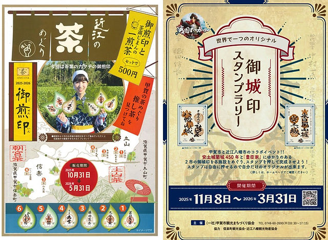 8bc95b_621e50237ffa4fa19a38aa7