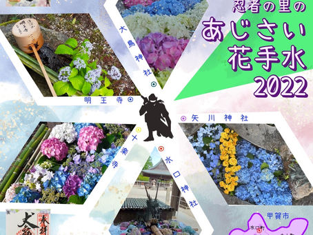 忍者の里のあじさい花手水2022