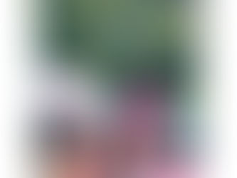 La nuova collezione IRIS by Irina Tirdea