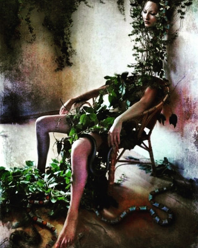 Fashion Sustainably