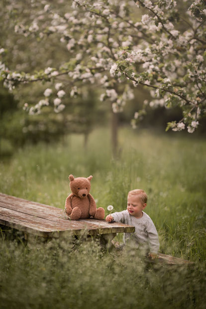 Website foto bloesem lente.jpg