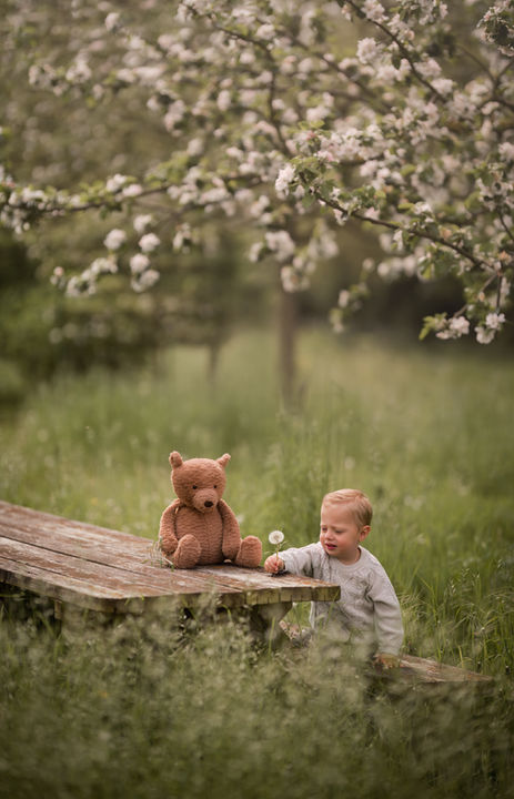 Website foto bloesem lente.jpg