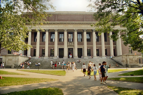widener harvard.jpeg