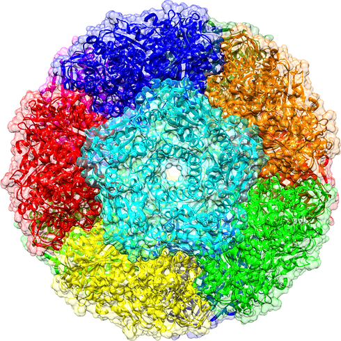 AaLS-wt_cartoon_surface.png
