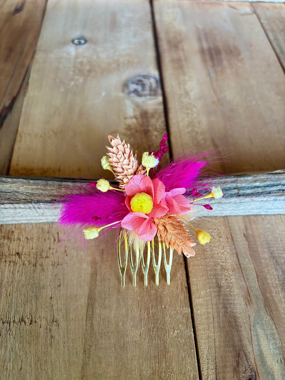 Miniature : Les peignes SUNNY