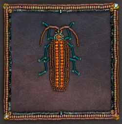 coleoptera 4 - SOLD
