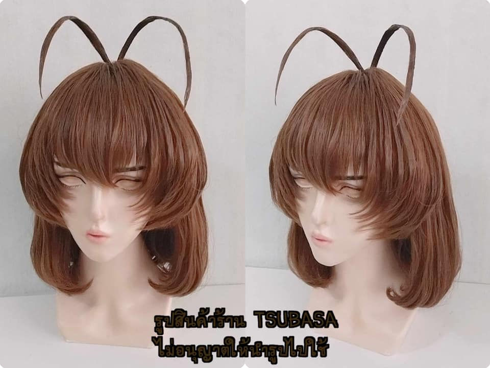 ภาพขนาดย่อ: Nagisa Furukawa - Clannad