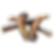 Large Pizzle