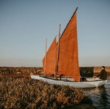 Sailing group activities nearby
