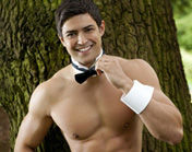 Hen Party Butler