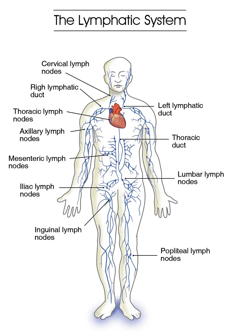 Lymphatic Drainage