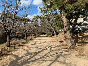 夙川河川敷