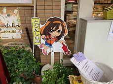 飛び出しはルヒ.jpg