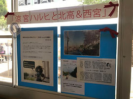 IMG_6041-1-768x576.jpeg