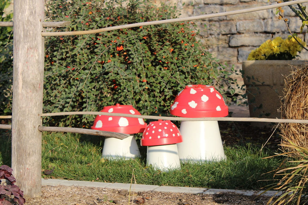 IMG_7061 (FILEminimizer).JPG