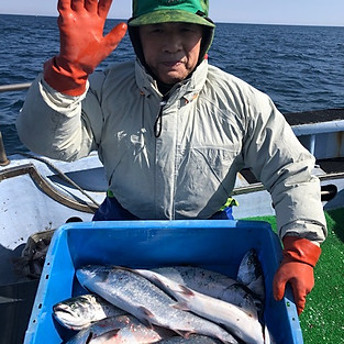 サクラマス釣り