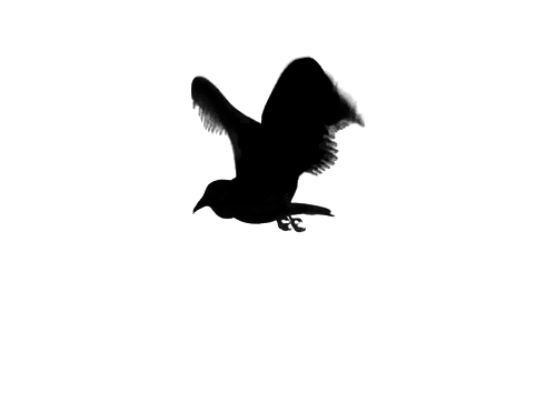 we make u fly