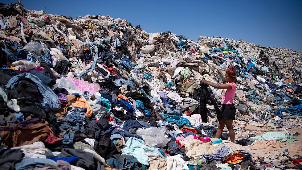 Fast Fashion’s 2025 Environmental Impact