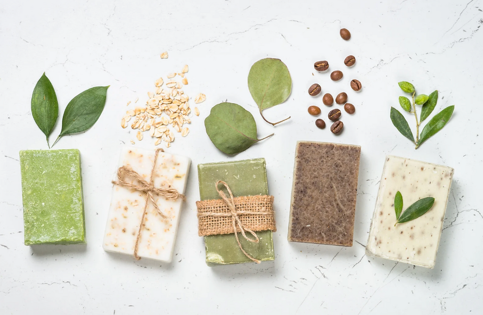 Do Shampoo Bars Really Work?