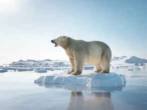 Your Tiny Habits that are Secretly Fueling GLOBAL WARMING