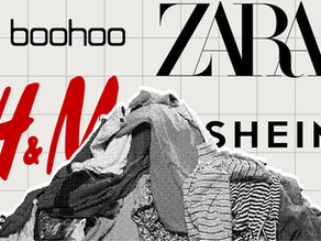 Fast Fashion's Hidden Cost: Unmasking the Environmental Impact and Omi's Sustainable Style Revolution