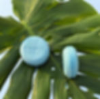 Indigo Oasis Shampoo ECO-BARS