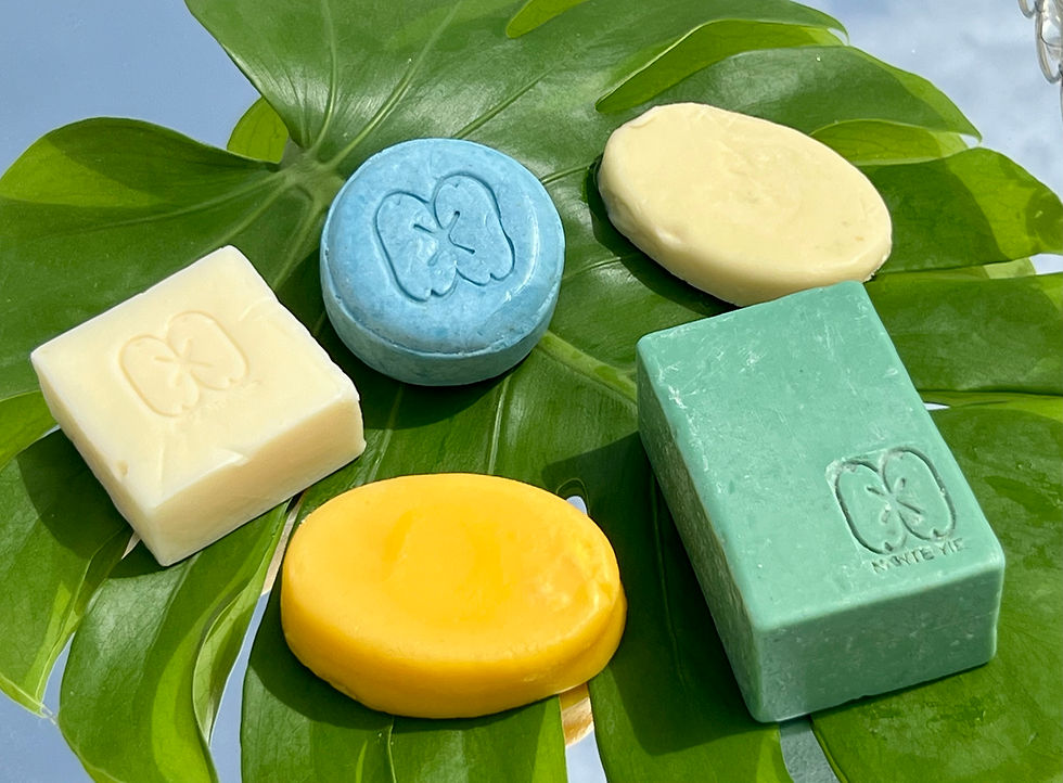 ECO-BAR Collection1.jpg