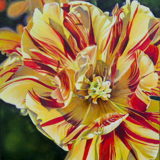 A vibrant flower with yellow and red petals is beautifully detailed. The background is blurred, highlighting the intricate patterns on the bloom.
