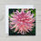 Thumbnail: Note Card - "PINK DAHLIA"