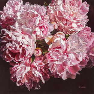A vibrant bouquet of pink peonies fills the scene with lush petals and intricate details. The flowers are clustered together, showcasing various shades of pink, set against a dark backdrop.