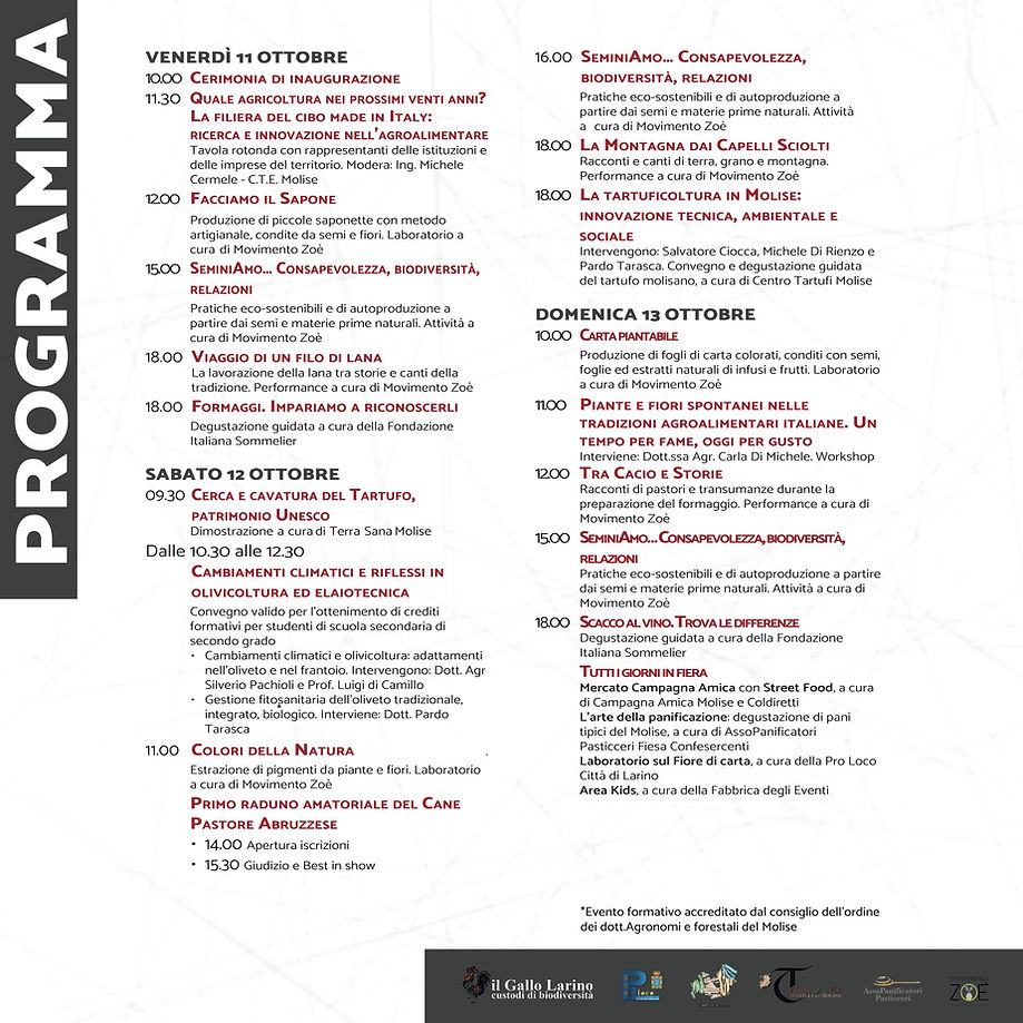 programma_sitoweb.jpg