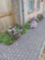 aanplanting