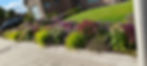 aanplanting