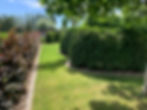 aanplanting