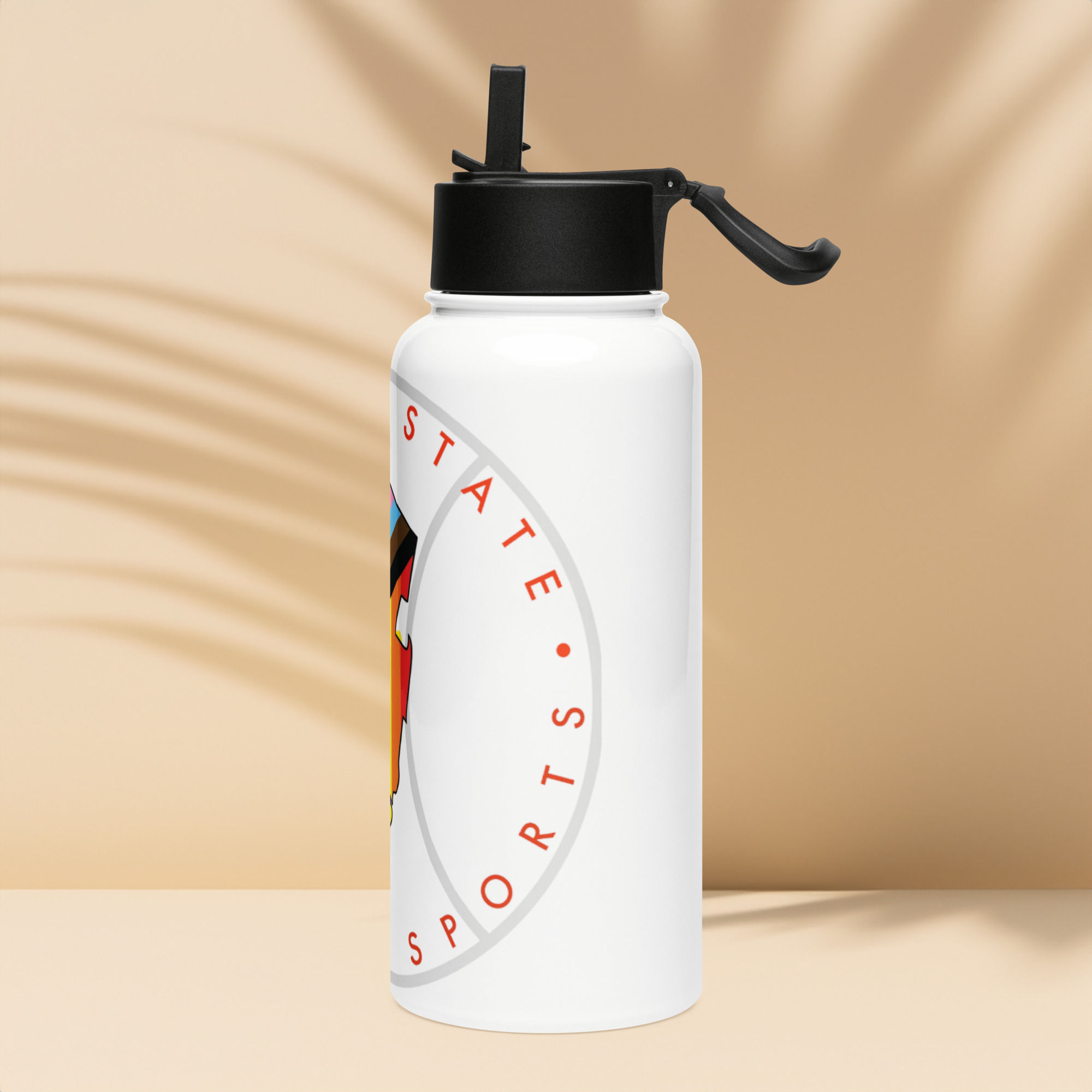 Stainless steel water bottle with a straw lid