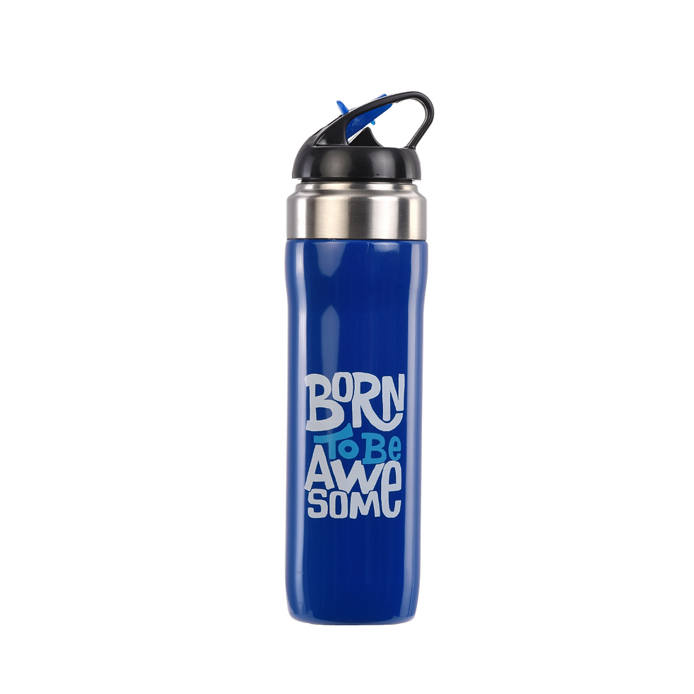 Thumbnail: Basik Cooper Insulated Water Bottle, 750 Ml