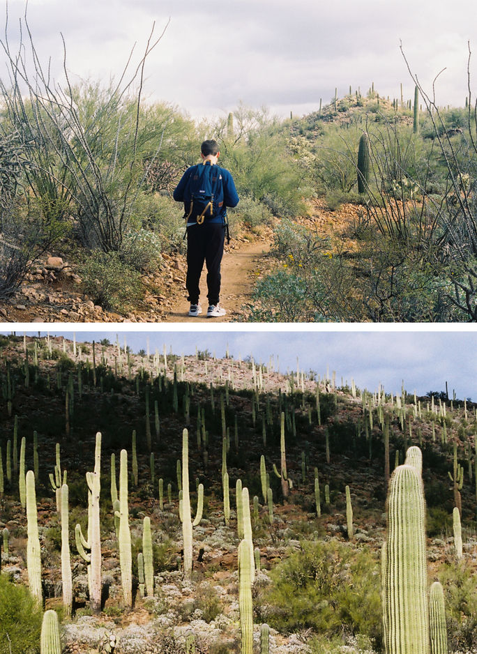 Christmas Hike