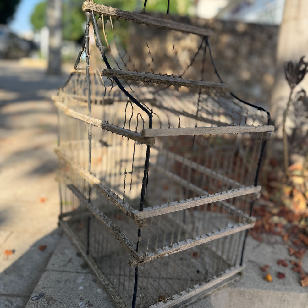 תמונה ממוזערת: כלוב ציפורים וינטג׳ 