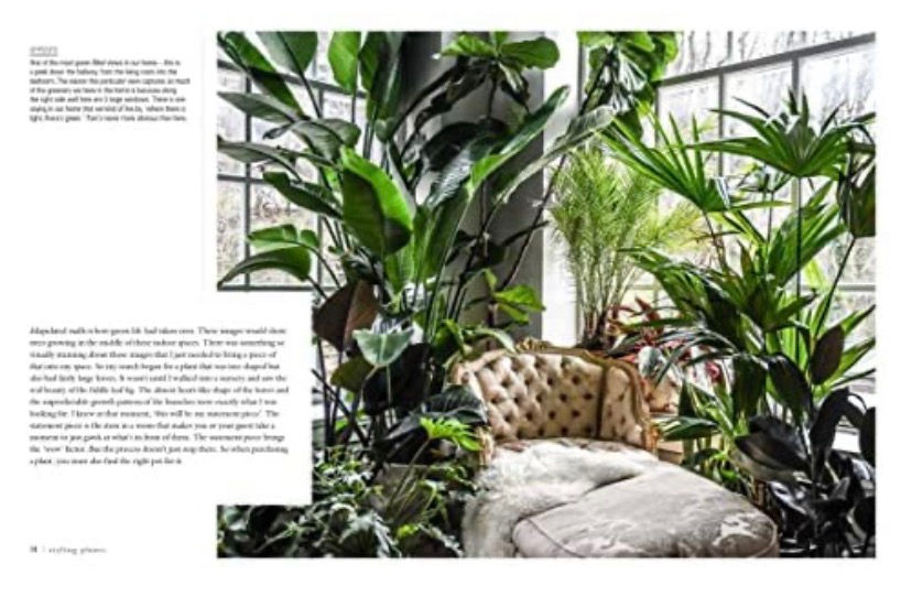 תמונה ממוזערת: ספר עיצוב Wild at home 