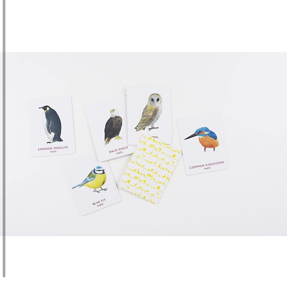 תמונה ממוזערת: משחק זכרון match a pair of birds