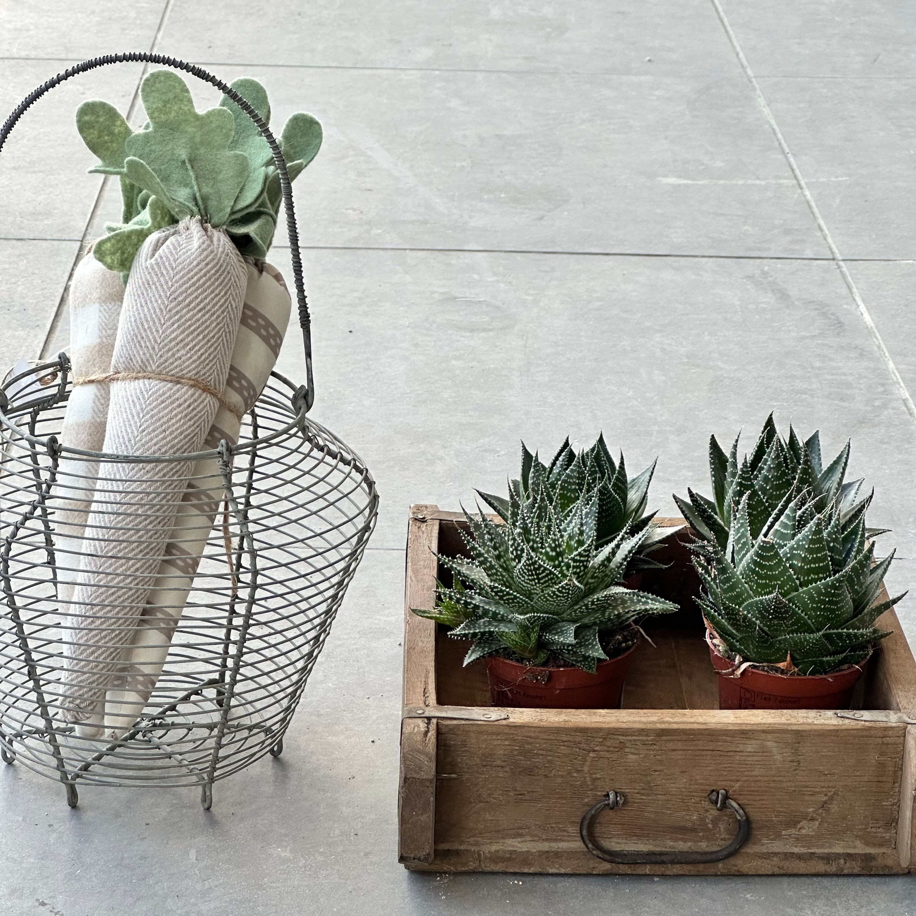 תיבת עץ עתיקה